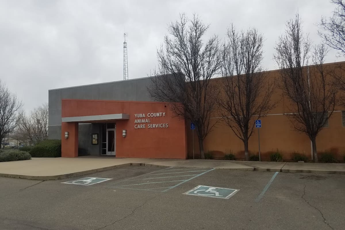 Yuba County Animal Care Services